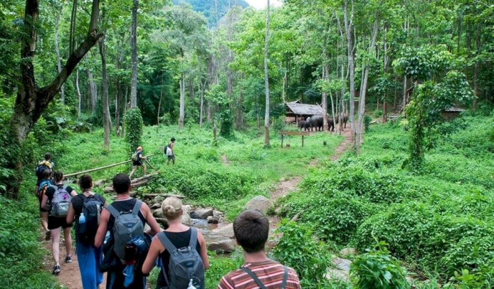 Vietnam’s oldest national park, covered in golden foliage and perfect for nature walks 